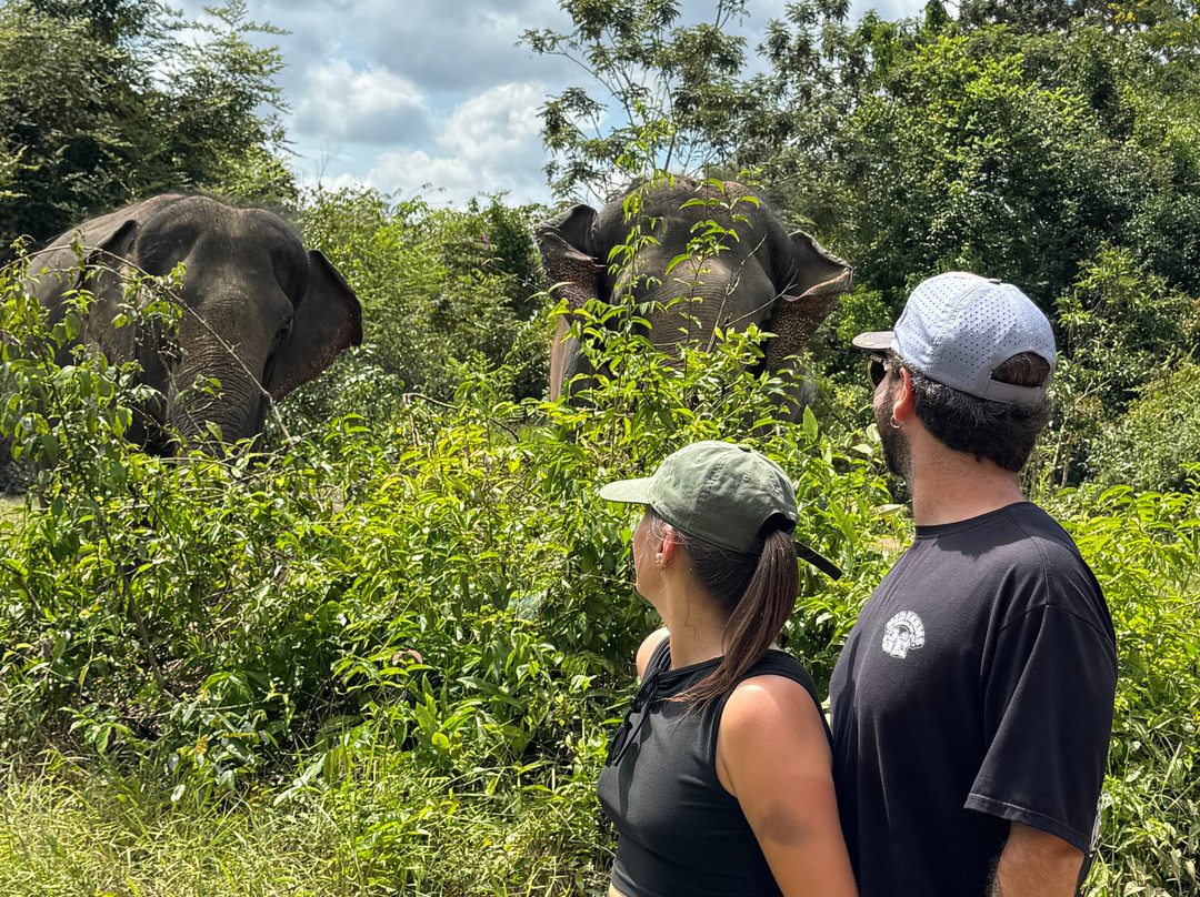 Kulen Elephant Forest-暹粒必去景点