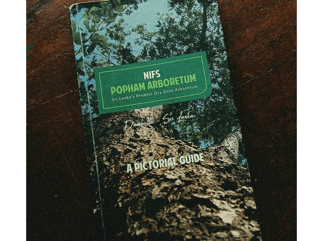 Popham's Arboretum-丹布拉必去景点
