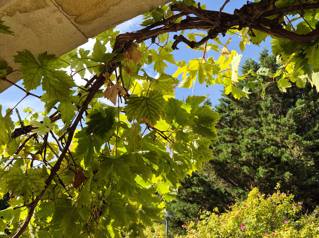 Domaine De Damian主图