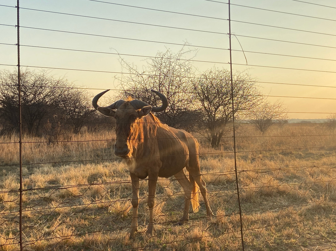 Sondela Nature Reserve & Spa Camping