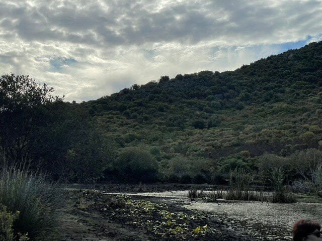 Saleccia Off Road-Saint Florent必去景点