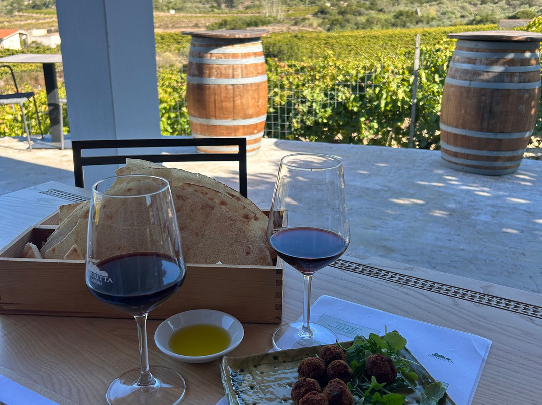 Wine Tasting Berritta-Dorgali必去景点