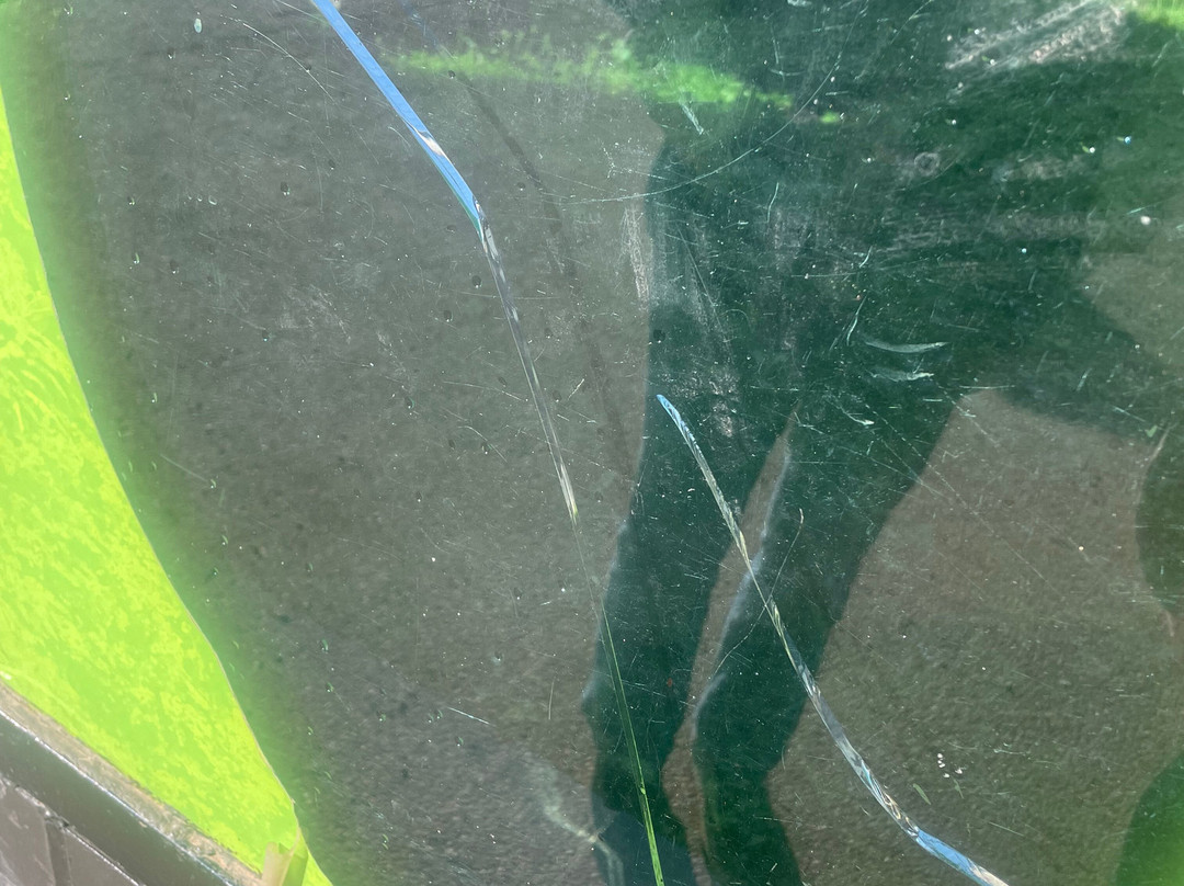 Twycross Zoo-Atherstone必去景点