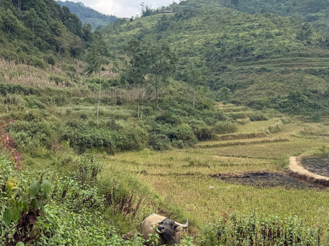 Bac Ha Trek-Bac Ha必去景点