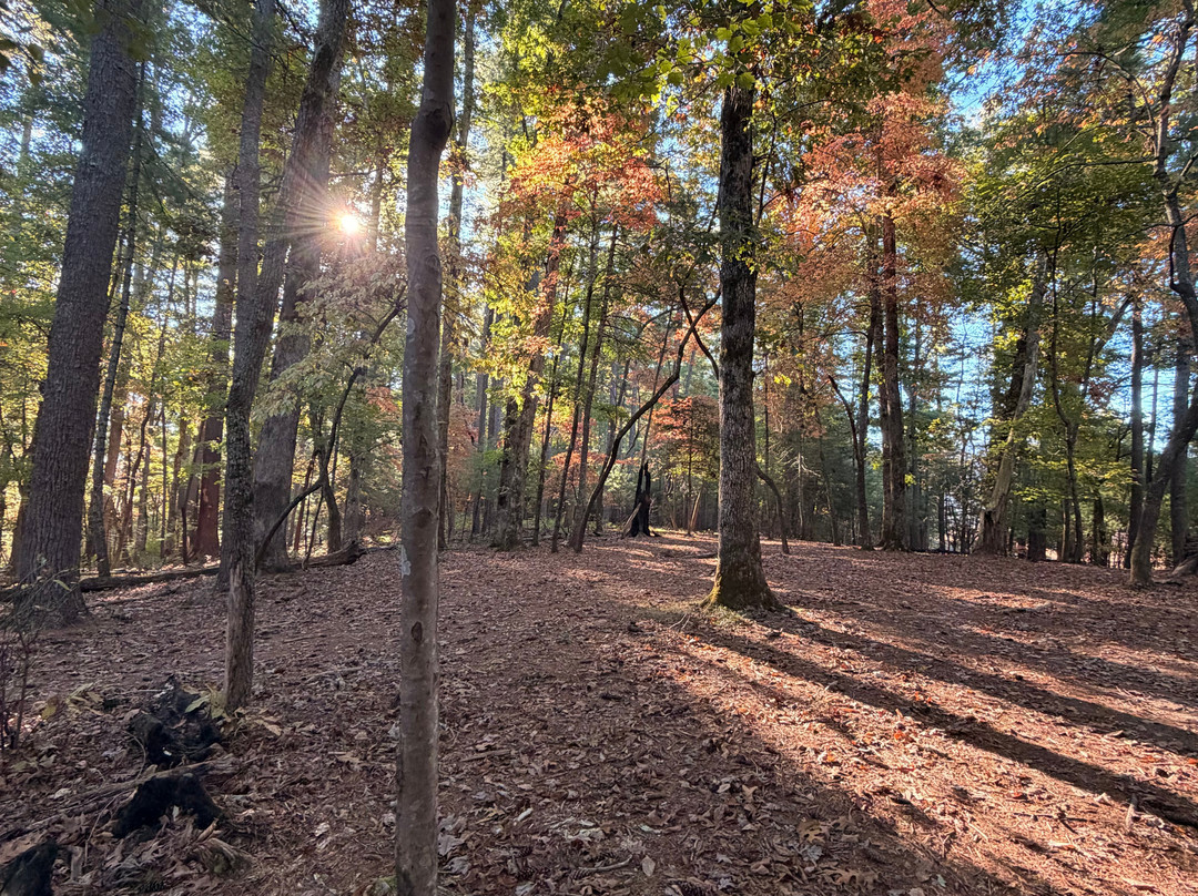 Cades Cove-大雾山国家公园必去景点