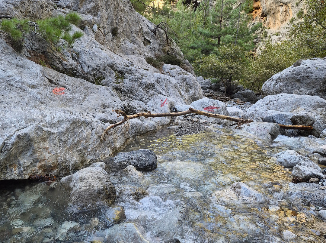 Agia Irini Gorge-Sougia必去景点