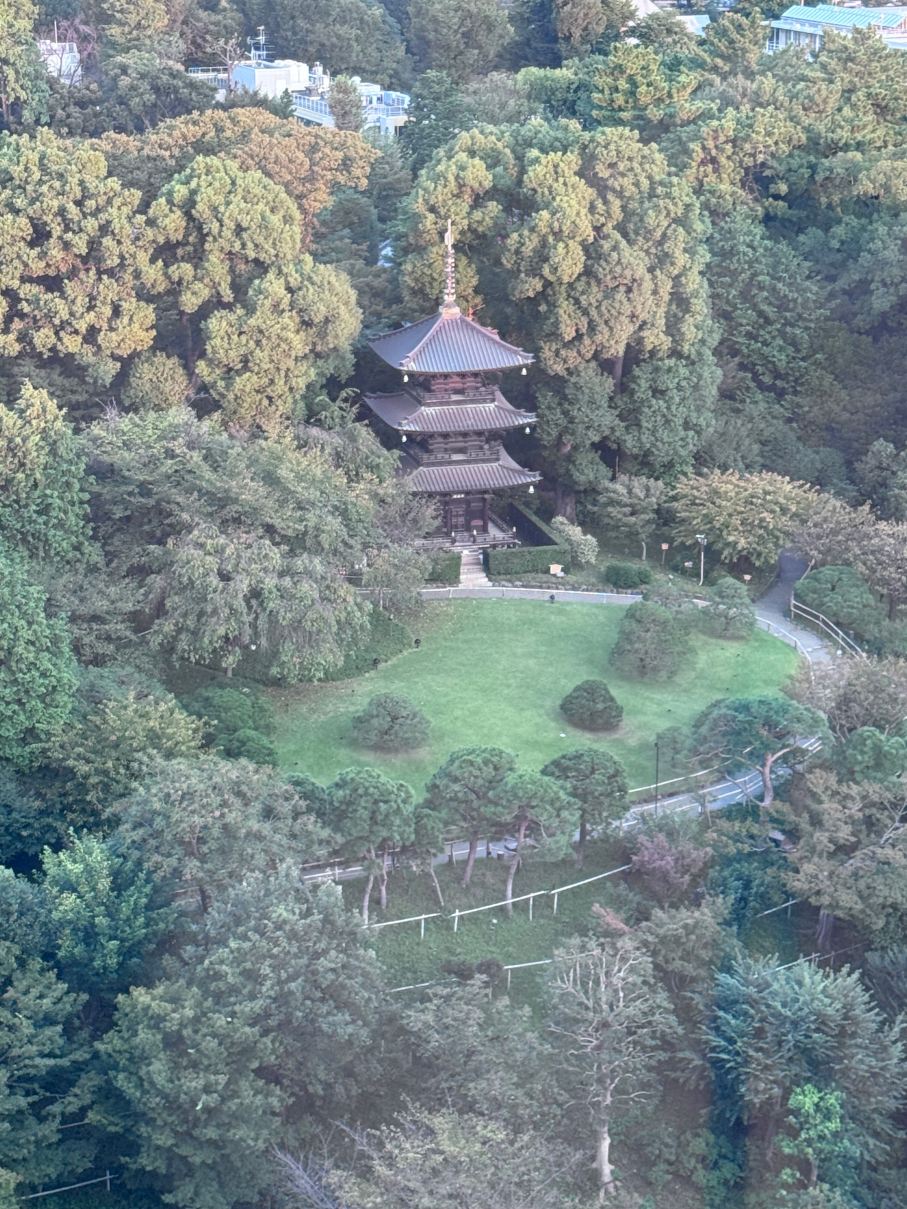 东京椿山庄大酒店-旅行者