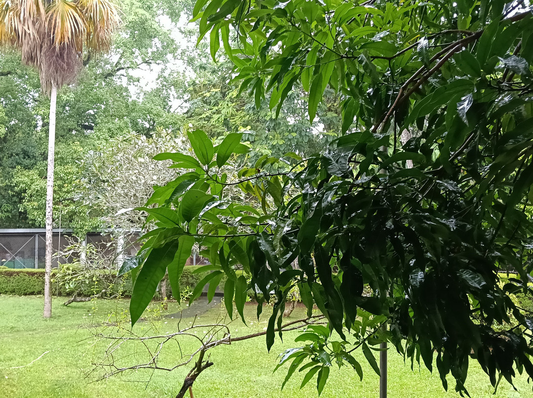 科伦坡国立博物馆-科伦坡必去景点