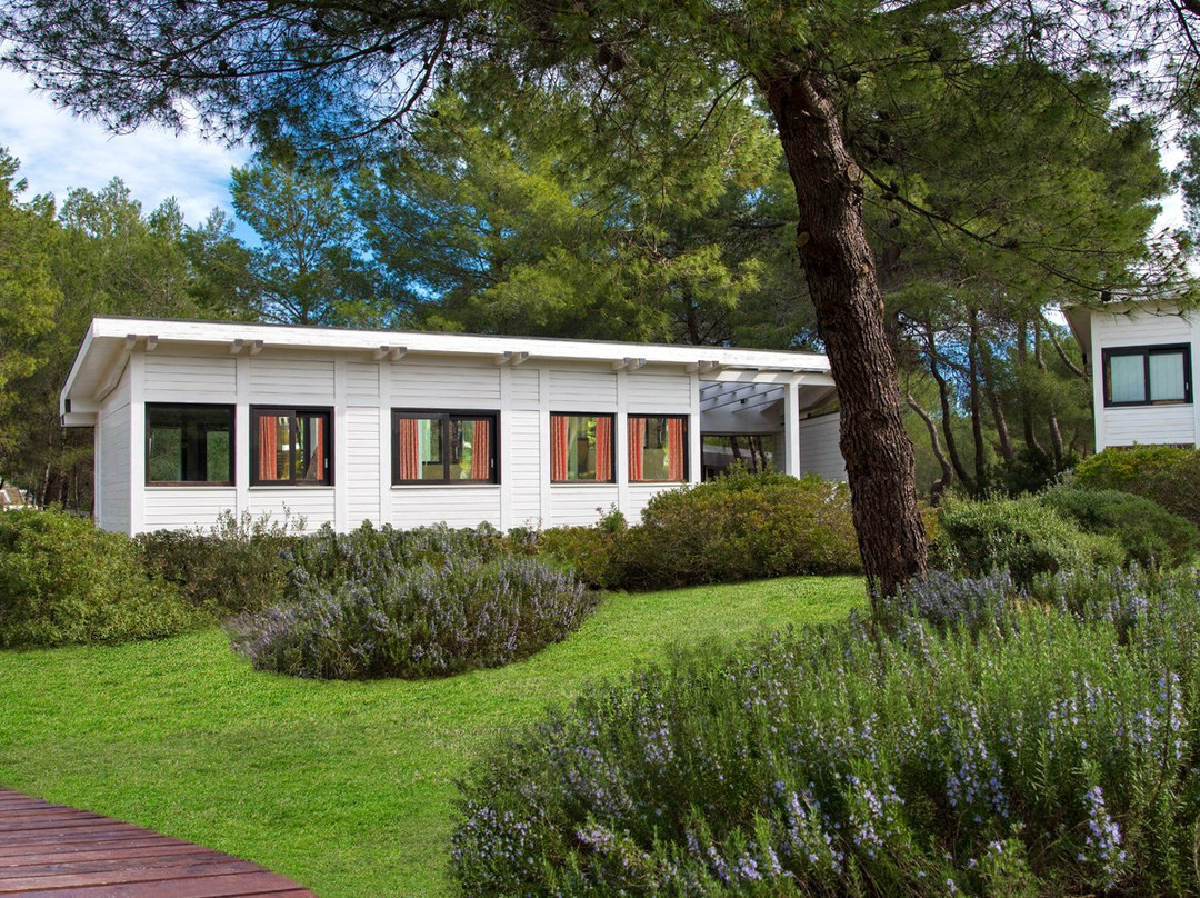 Alborea Ecolodge Resort主图