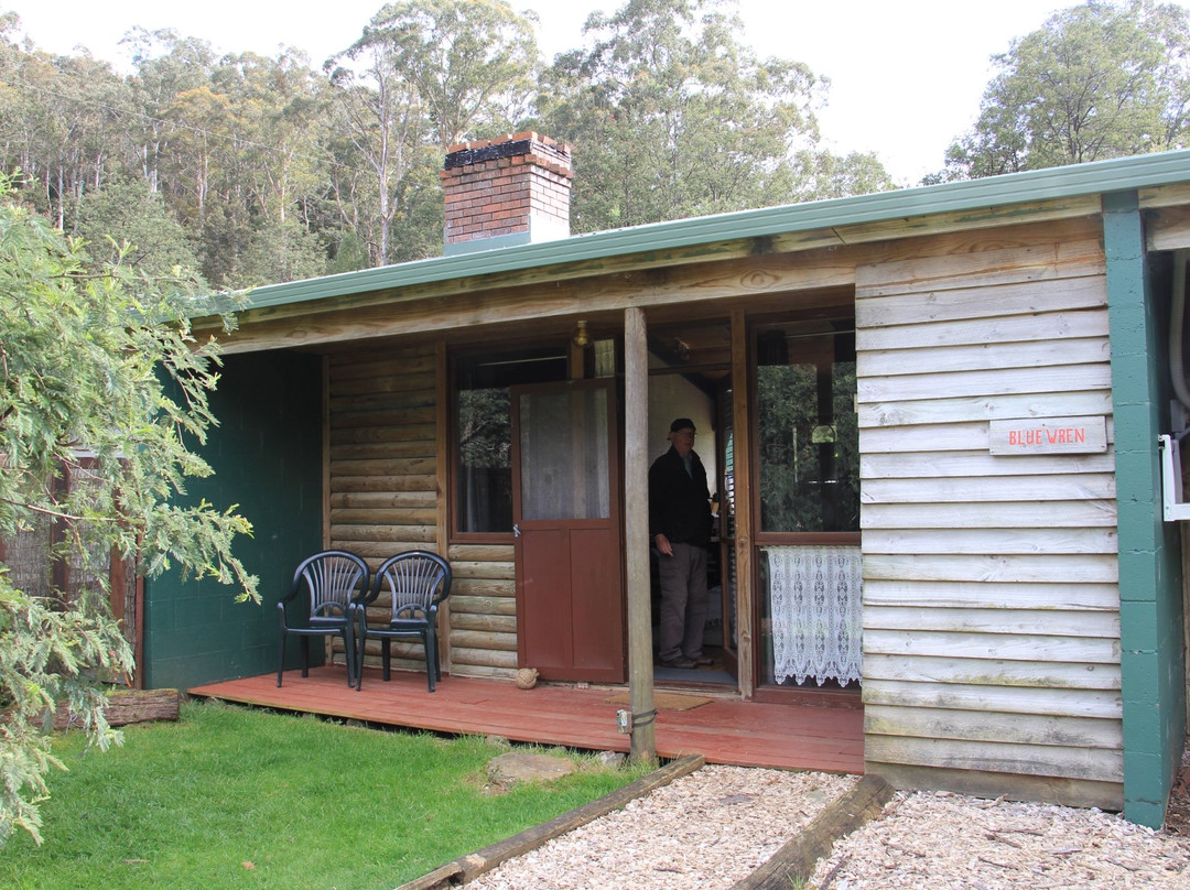 Waratah酒店住宿-Mountain Valley Wilderness Holidays