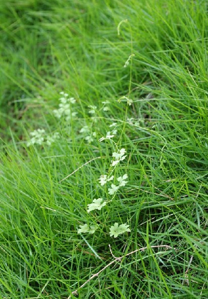 石湾公园-佛山市必去景点
