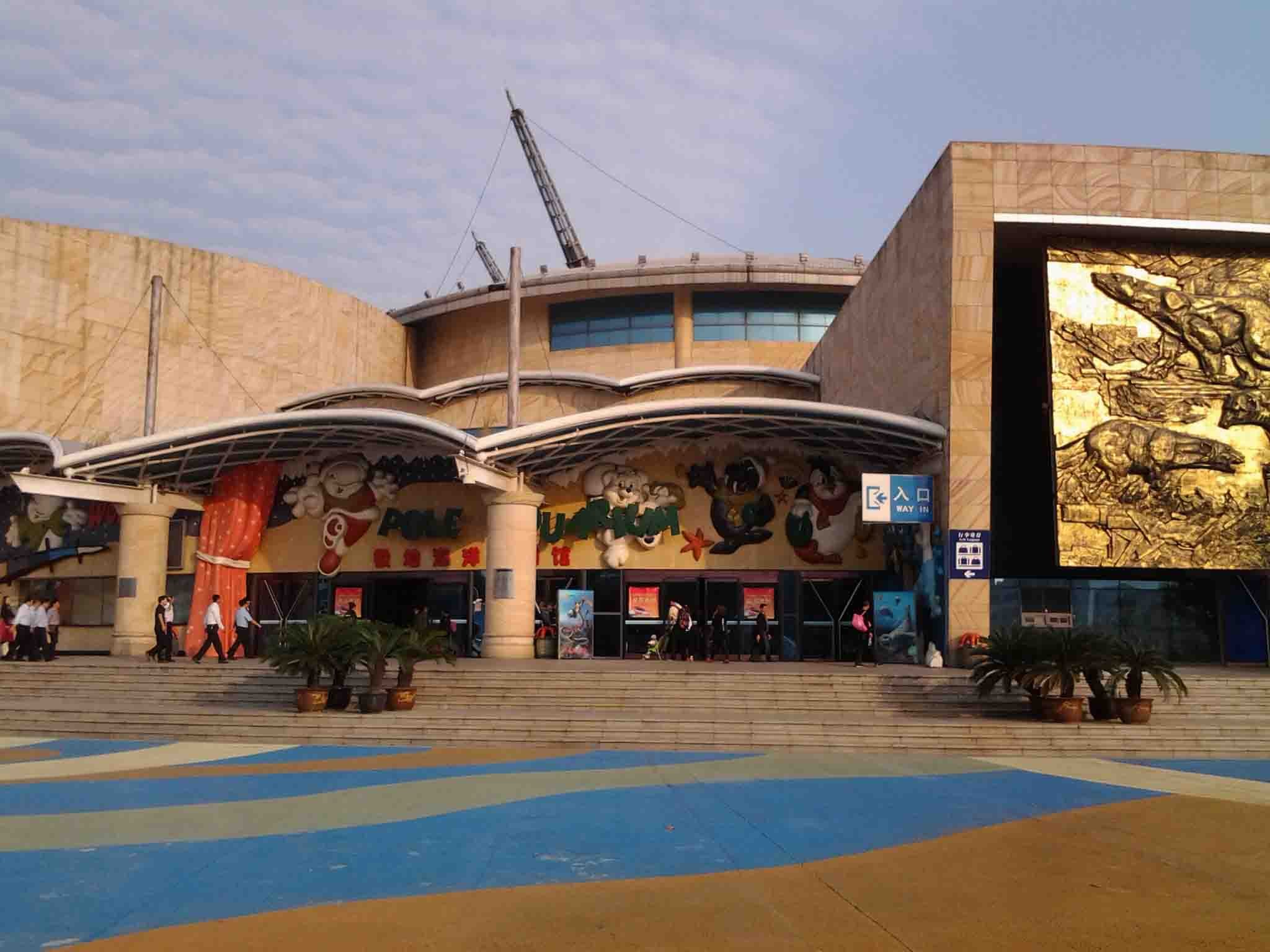 大连海洋乐园-泳池