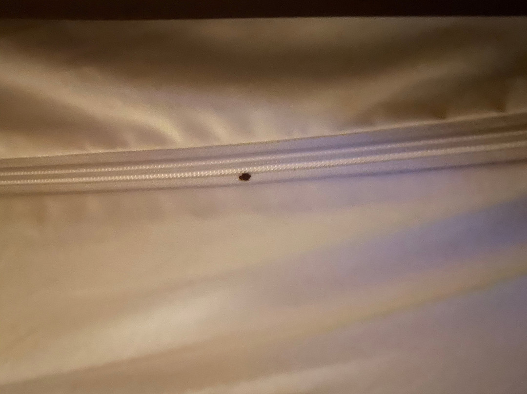 Super 8 Motel Gulfport