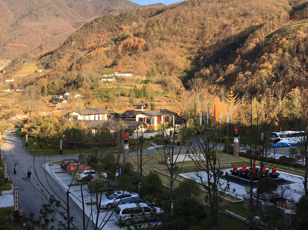 阿尔卡迪亚森林酒店主图