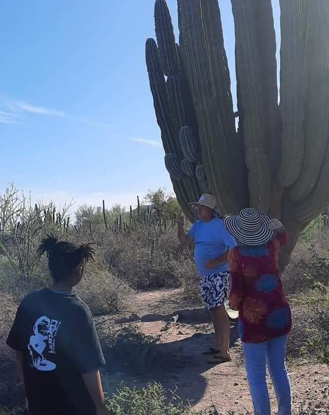 Dragon Fruit Farm Rancho Pitahaya-Guaymas必去景点