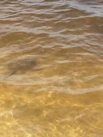 Jeff Friend Trail-格尔夫海岸必去景点