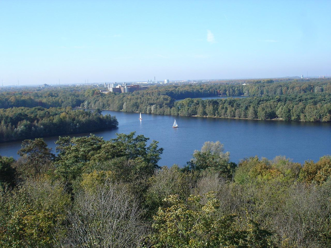 Aussichtsturm Wolfsberg Duisburg景点图片