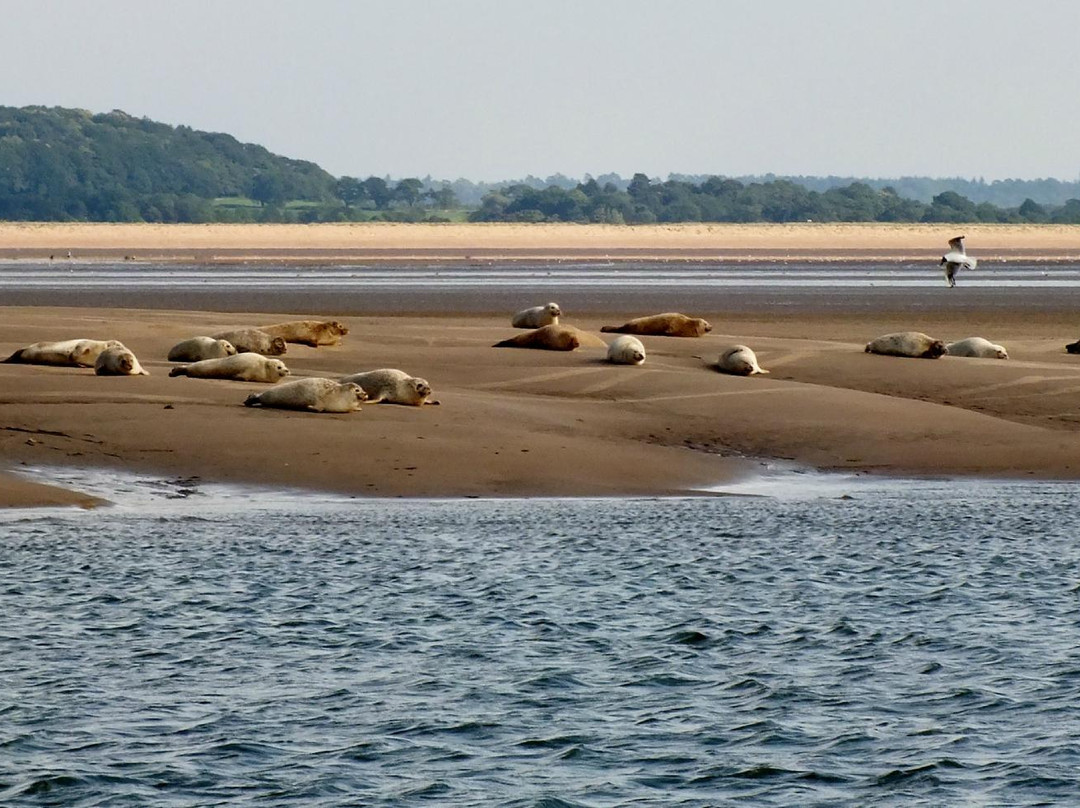 Searles Sea Tours-Hunstanton必去景点