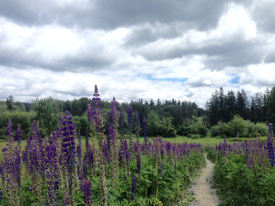雷德蒙德旅游景点-Evans Creek Preserve