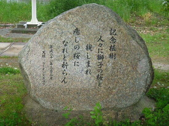 Tainoshoike Park-天理市必去景点