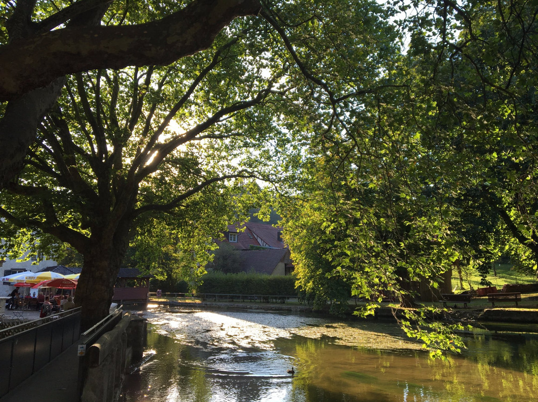 Engen旅游景点-Aachquelle