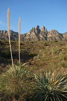 Organ Mountains-Desert Peaks National Monument-拉斯克鲁塞斯必去景点