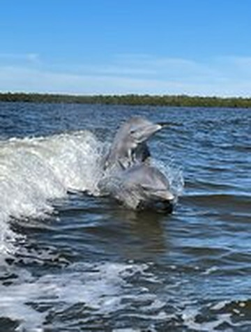 Paradise Charters-迈尔斯堡海滩必去景点