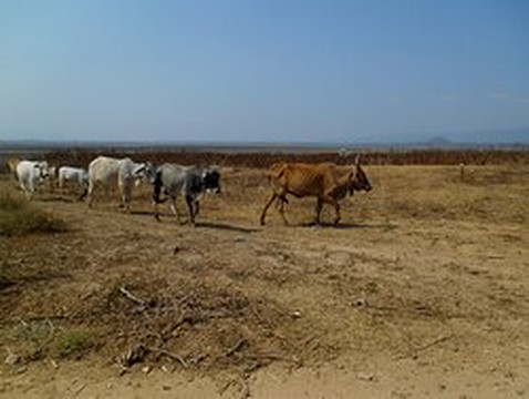 龟山湖-黎逗必去景点