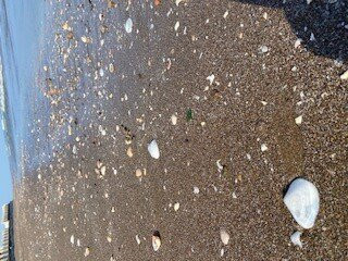 苏哈尔海滩酒店主图