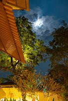 The Postcard Velha主图