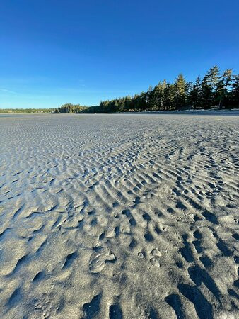 Beaver Harbour Park (Storey's Beach)景点图片