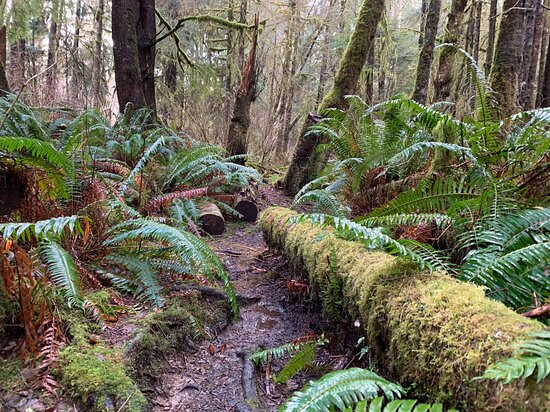 Kagan Bay Recreation Site-Daajing Giids必去景点