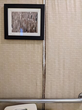 Comfort Suites South主图