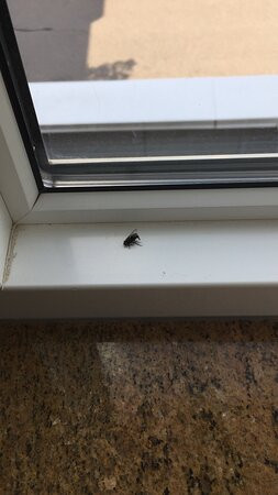 米西索加机场企业中心万豪广场套房酒店主图