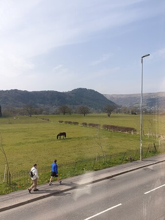 梅多斯威特酒店主图