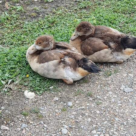 Walthamstow Wetlands-伦敦必去景点