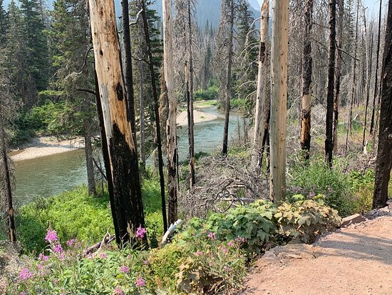 Virginia Falls-冰河国家公园必去景点