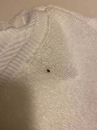 Fairfield Inn Manchester-Boston Regional Airport主图