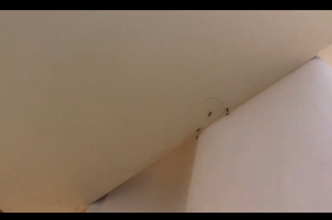 Residence Hotel La Pelosetta主图