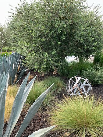 Eleven Eleven Winery-纳帕必去景点