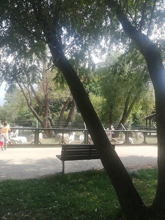 Bursa Zoo景点图片