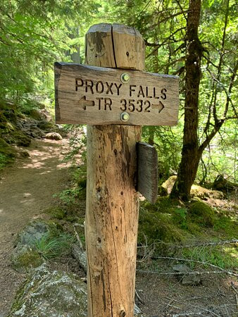 Proxy Falls景点图片