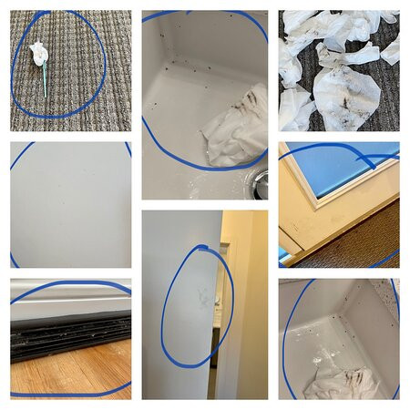 Lamphouse By Basecamp主图