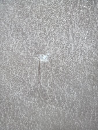 Hotel Villa Flora主图