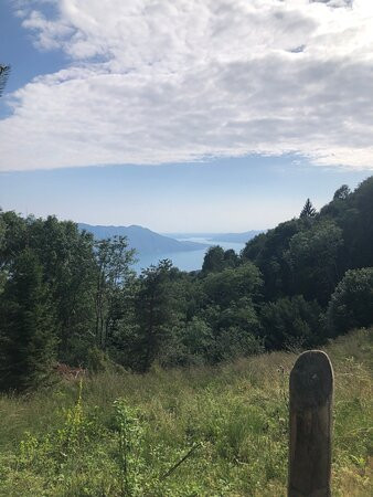 Wonderwood景点图片
