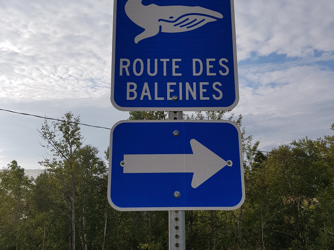 Motel Restaurant Chantmartin主图