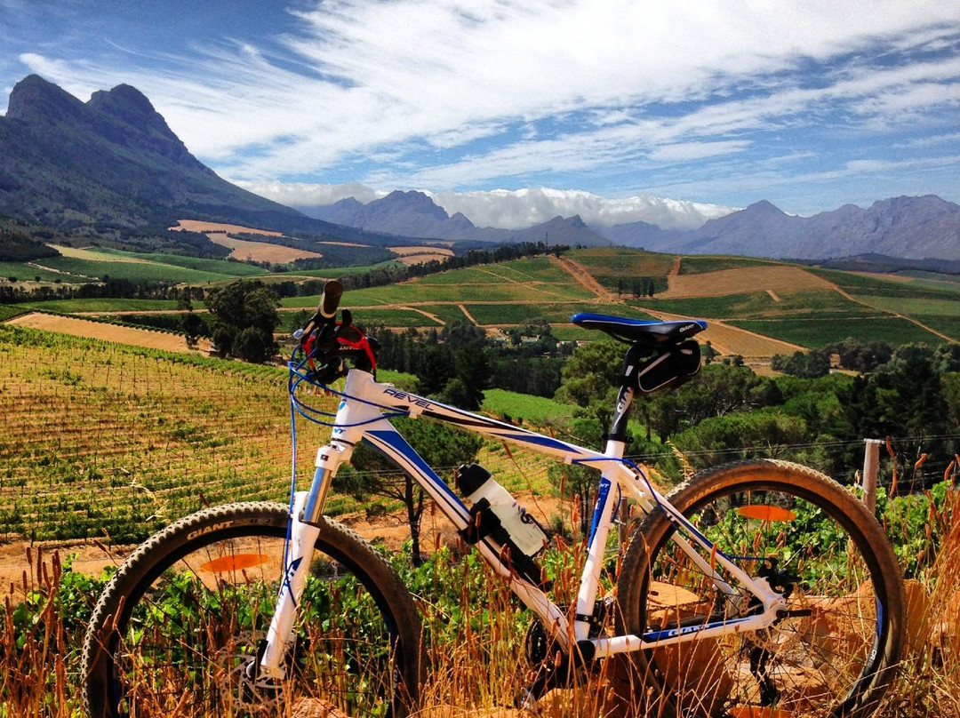 Dirtopia-斯泰伦博斯必去景点