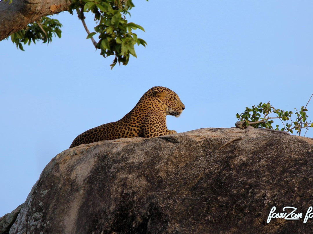 Elysian Lanka Travels-Ratnapura必去景点