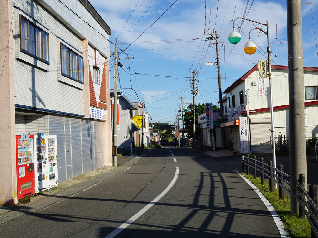 Hashikami Station Shopping Street景点图片