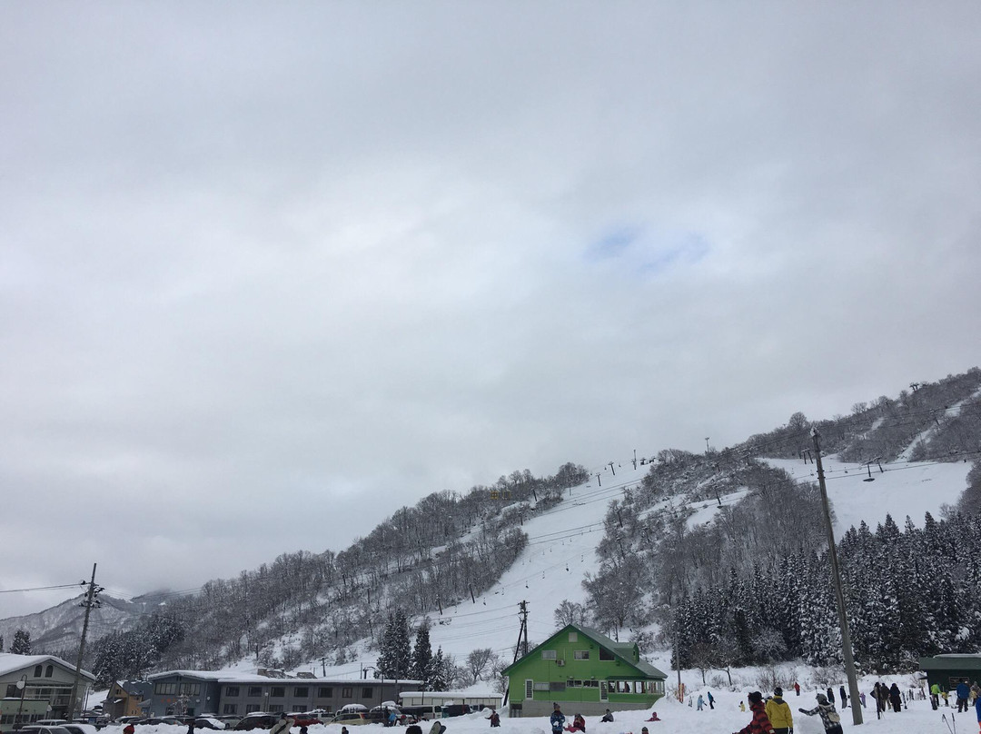Nakazato Snow Wood Ski Resort景点图片